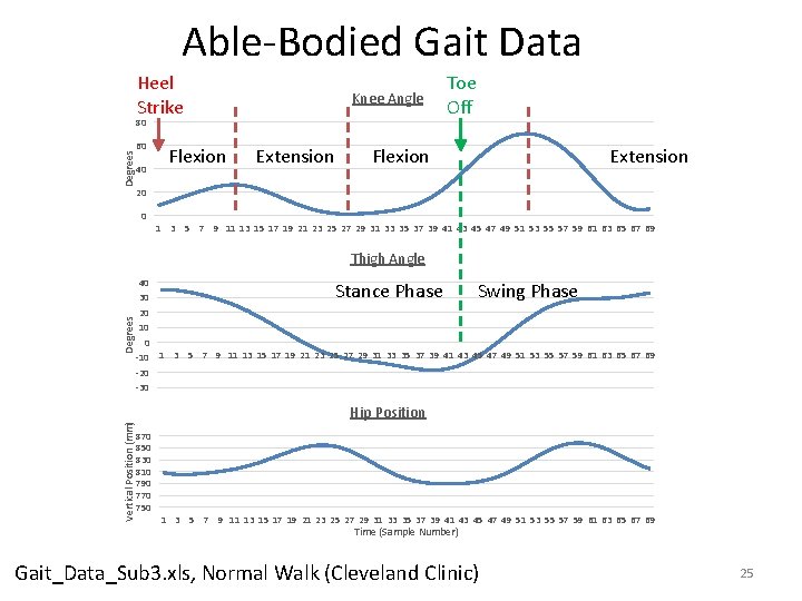 Able‐Bodied Gait Data Heel Strike Knee Angle 80 Degrees 60 40 Flexion Extension Toe