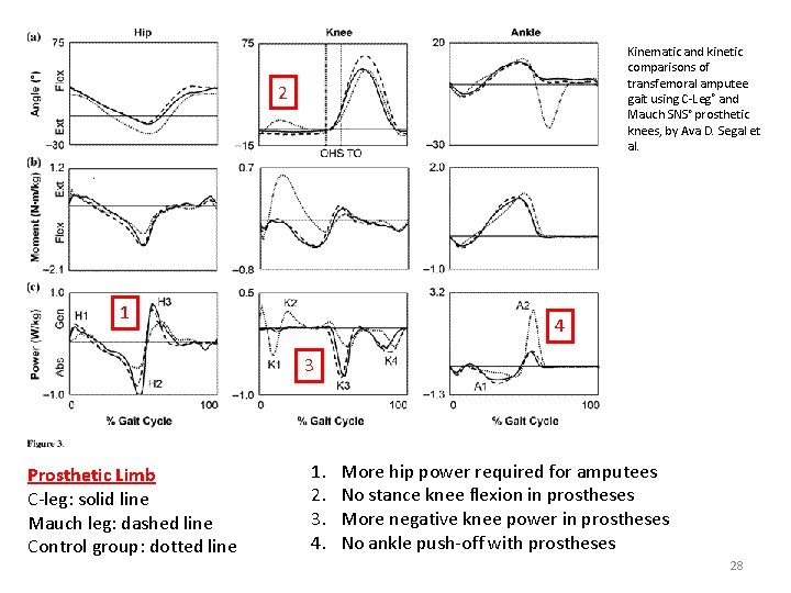 Kinematic and kinetic comparisons of transfemoral amputee gait using C‐Leg® and Mauch SNS® prosthetic