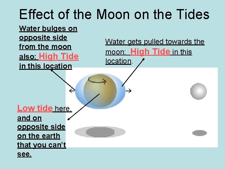Effect of the Moon on the Tides Water bulges on opposite side from the