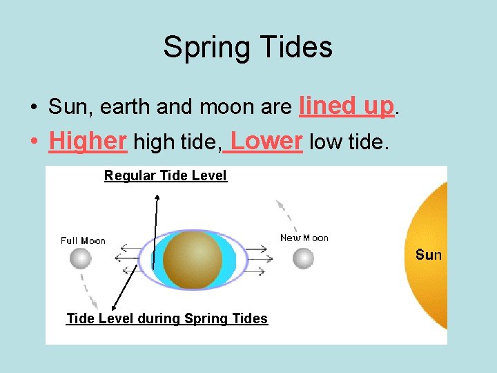 Spring Tides • Sun, earth and moon are lined up. • Higher high tide,