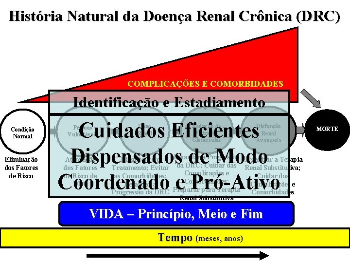 História Natural da Doença Renal Crônica (DRC) COMPLICAÇÕES E COMORBIDADES Identificação e Estadiamento Condição