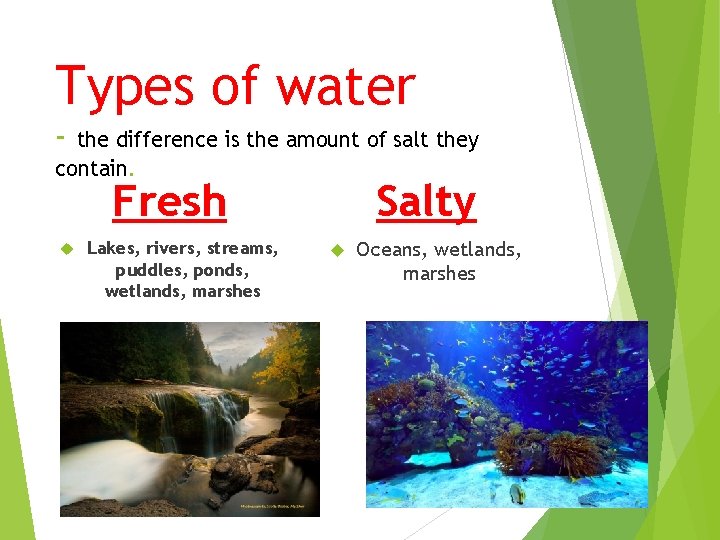 Types of water - the difference is the amount of salt they contain. Fresh