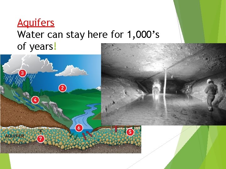 Aquifers Water can stay here for 1, 000’s of years! 
