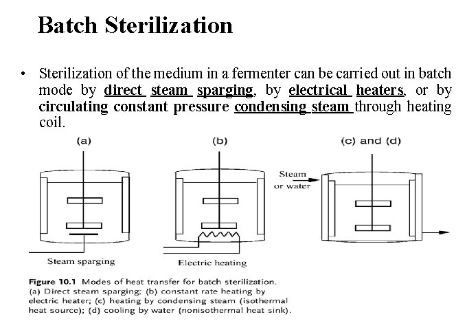 Batch Sterilization • Sterilization of the medium in a fermenter can be carried out