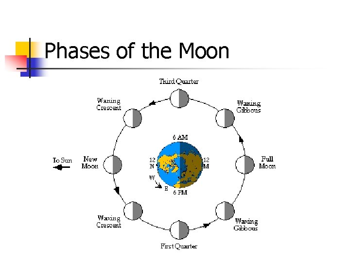 Phases of the Moon 