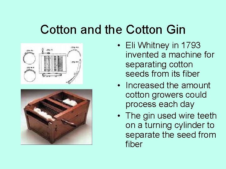 Cotton and the Cotton Gin • Eli Whitney in 1793 invented a machine for