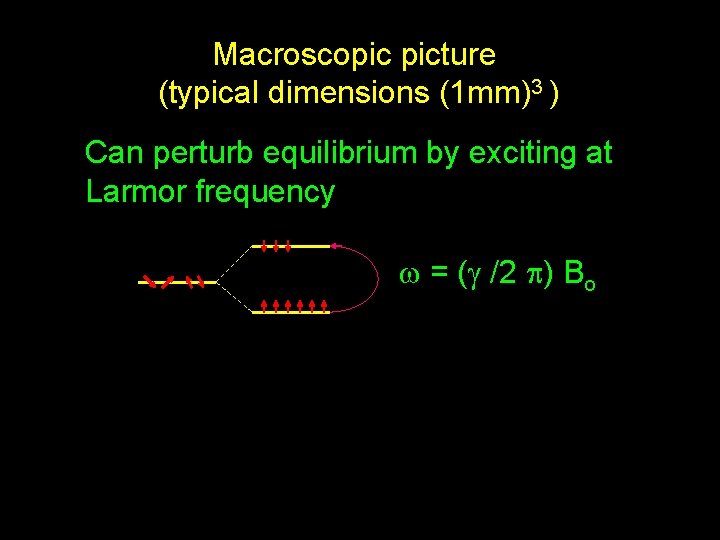 Macroscopic picture (typical dimensions (1 mm)3 ) Can perturb equilibrium by exciting at Larmor