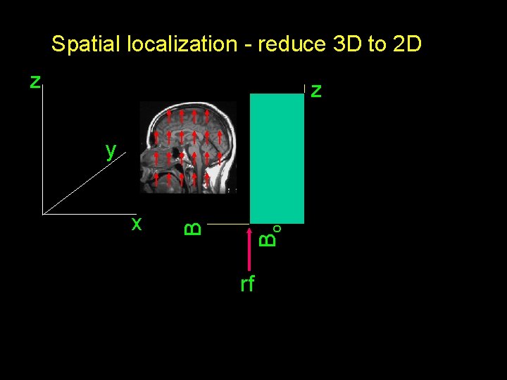 Spatial localization - reduce 3 D to 2 D z z Bo x B