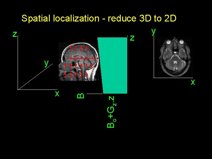 Spatial localization - reduce 3 D to 2 D y z z y Bo+Gz.
