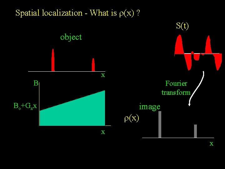 Spatial localization - What is r(x) ? S(t) object B xx Fourier transform Bo+Gxx