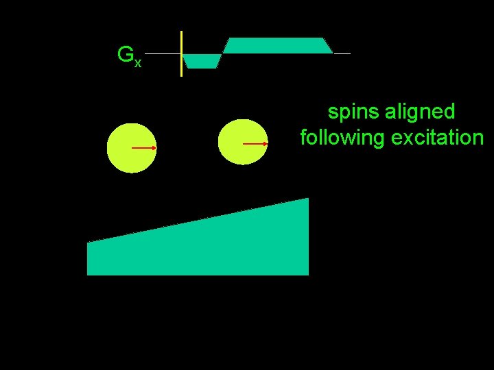 Gx spins aligned following excitation 