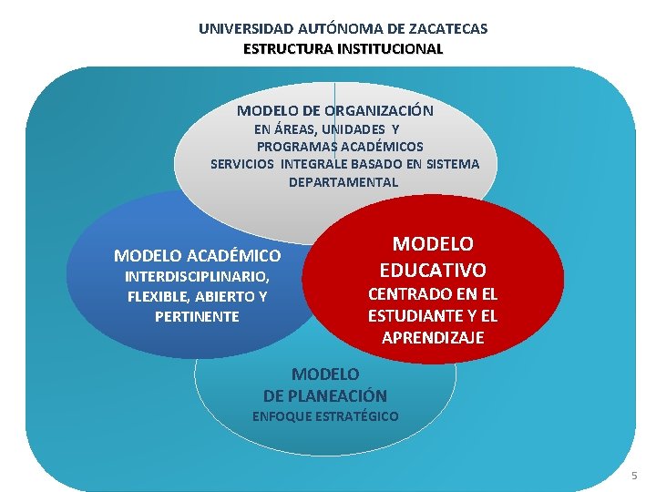 UNIVERSIDAD AUTÓNOMA DE ZACATECAS ESTRUCTURA INSTITUCIONAL MODELO DE ORGANIZACIÓN EN ÁREAS, UNIDADES Y PROGRAMAS