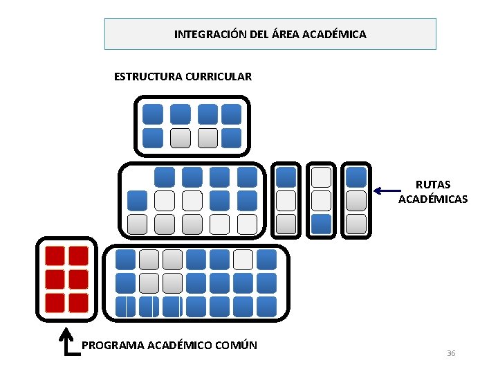 INTEGRACIÓN DEL ÁREA ACADÉMICA ESTRUCTURA CURRICULAR RUTAS ACADÉMICAS PROGRAMA ACADÉMICO COMÚN 36 