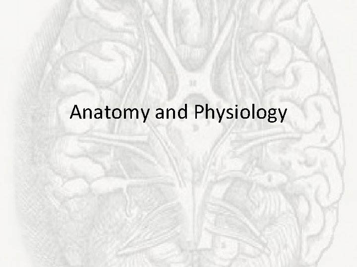 Anatomy and Physiology 