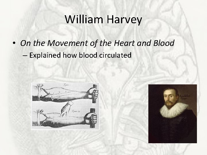 William Harvey • On the Movement of the Heart and Blood – Explained how