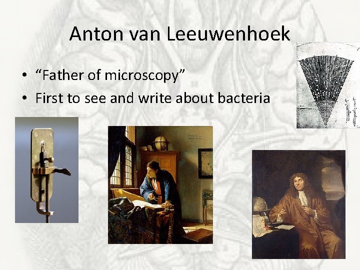 Anton van Leeuwenhoek • “Father of microscopy” • First to see and write about