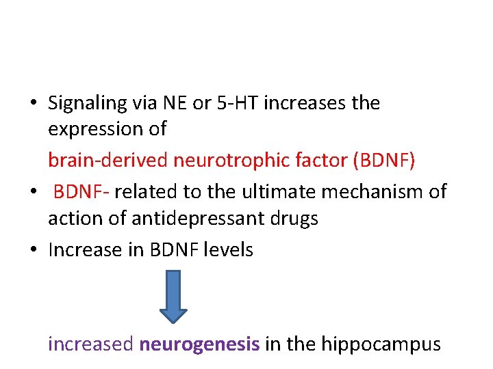  • Signaling via NE or 5 -HT increases the expression of brain-derived neurotrophic