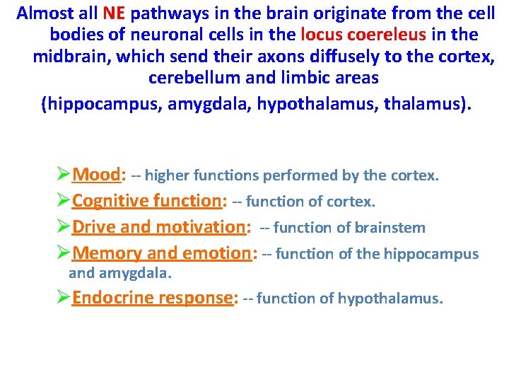 Almost all NE pathways in the brain originate from the cell bodies of neuronal