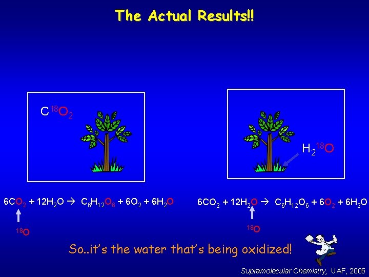 The Actual Results!! C 18 O 2 H 218 O 6 CO 2 +