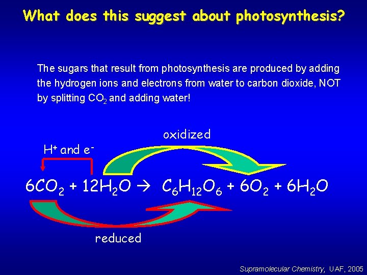 What does this suggest about photosynthesis? The sugars that result from photosynthesis are produced