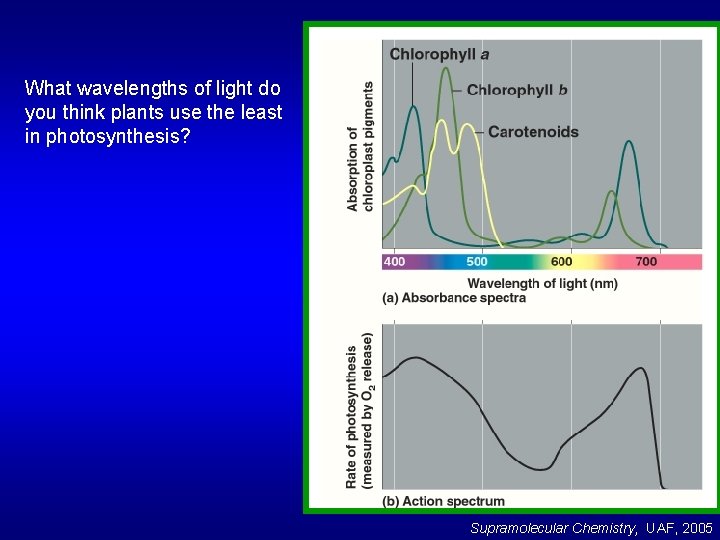 What wavelengths of light do you think plants use the least in photosynthesis? Supramolecular