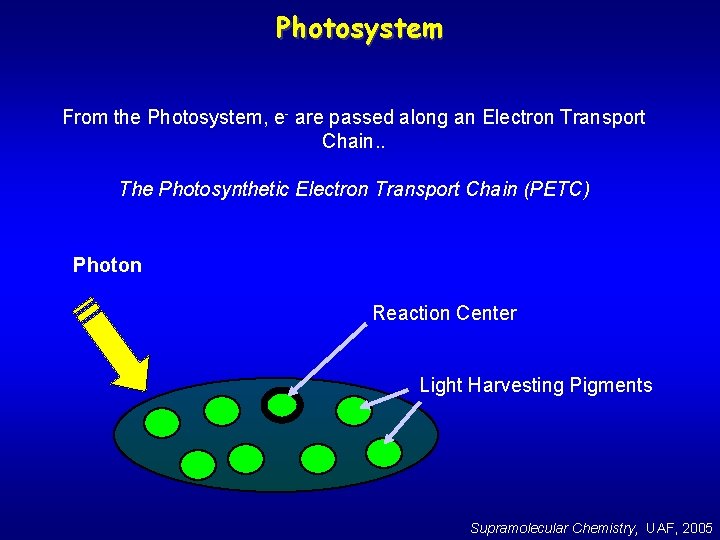 Photosystem From the Photosystem, e- are passed along an Electron Transport Chain. . The