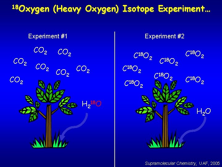 18 Oxygen (Heavy Oxygen) Isotope Experiment… Experiment #1 CO 2 Experiment #2 CO 2