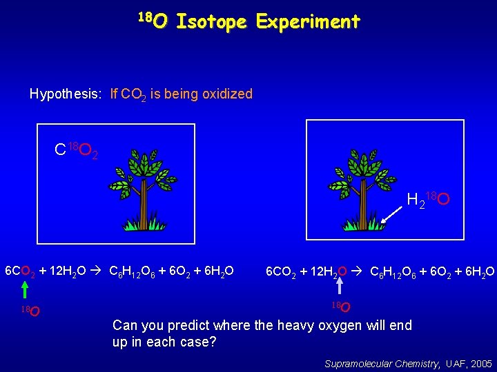 18 O Isotope Experiment Hypothesis: If CO 2 is being oxidized C 18 O