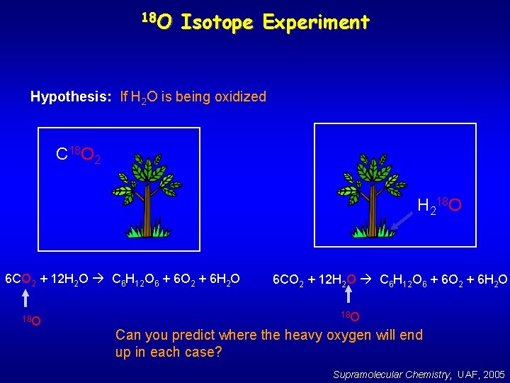 18 O Isotope Experiment Hypothesis: If H 2 O is being oxidized C 18