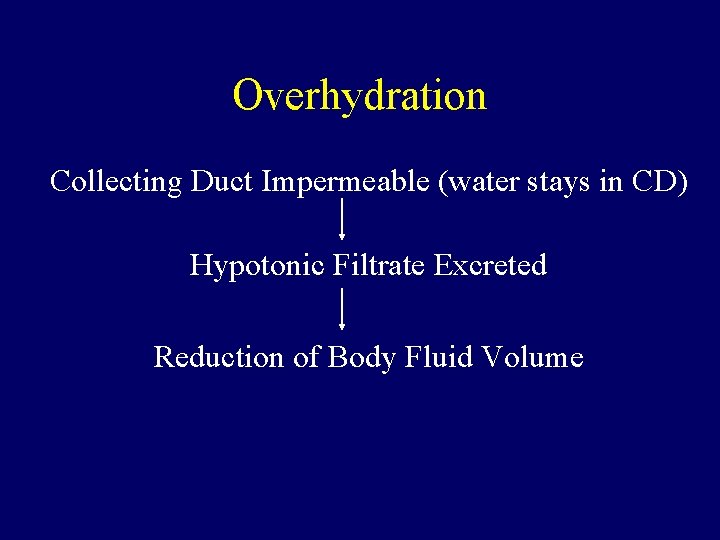 Overhydration Collecting Duct Impermeable (water stays in CD) Hypotonic Filtrate Excreted Reduction of Body