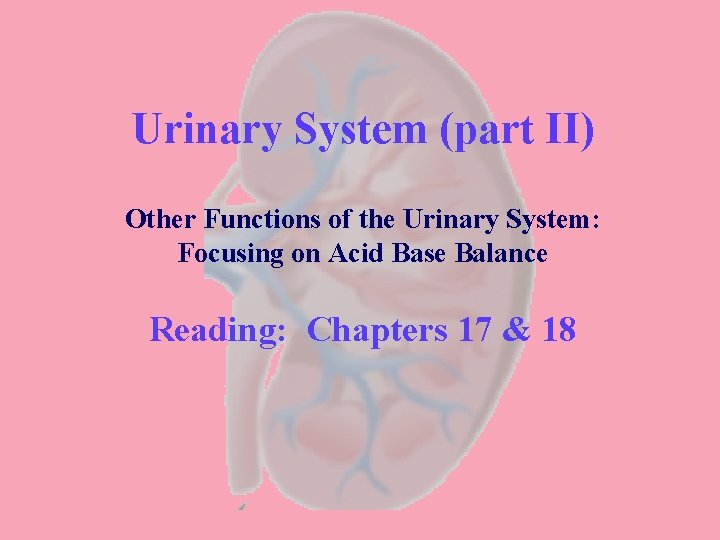 Urinary System (part II) Other Functions of the Urinary System: Focusing on Acid Base