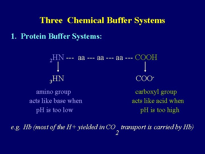 Three Chemical Buffer Systems 1. Protein Buffer Systems: 2 HN --- aa --- COOH