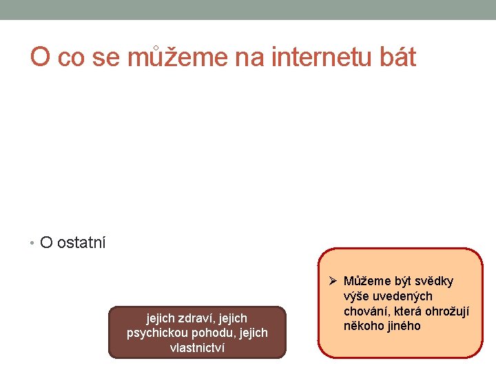 O co se můžeme na internetu bát • O ostatní jejich zdraví, jejich psychickou