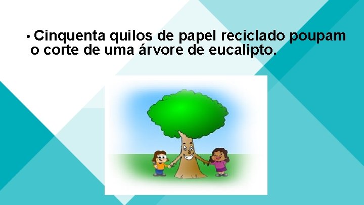  • Cinquenta quilos de papel reciclado poupam o corte de uma árvore de