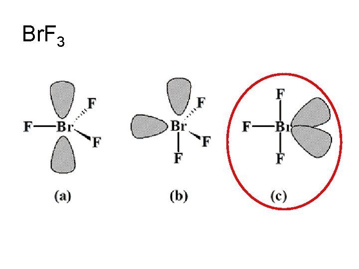 Br. F 3 