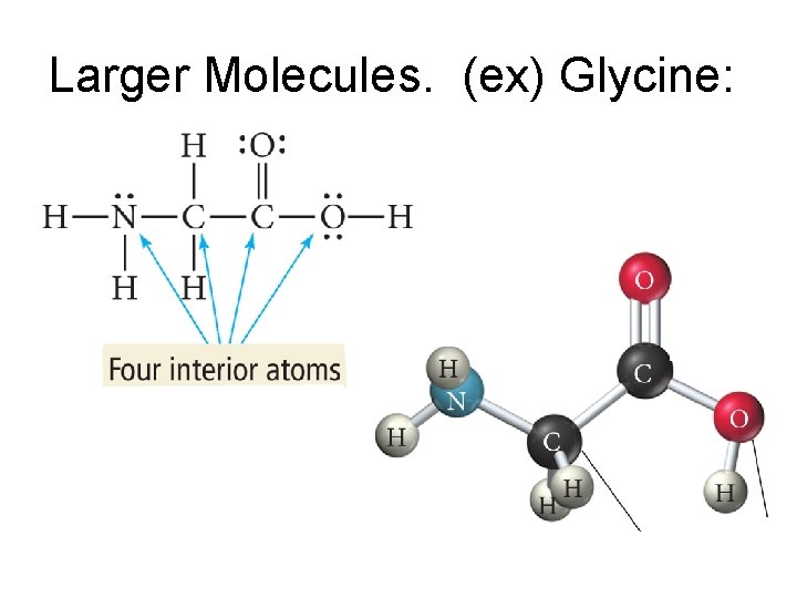 Larger Molecules. (ex) Glycine: 