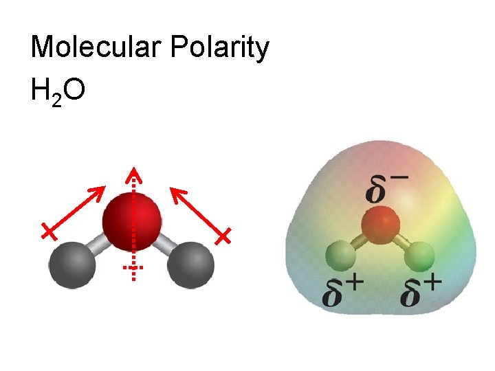 Molecular Polarity H 2 O 