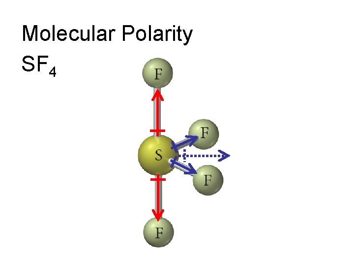 Molecular Polarity SF 4 