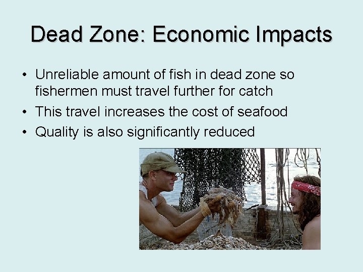Dead Zone: Economic Impacts • Unreliable amount of fish in dead zone so fishermen