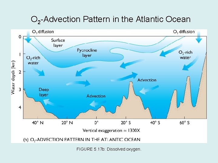 O 2 -Advection Pattern in the Atlantic Ocean FIGURE 5. 17 b: Dissolved oxygen.