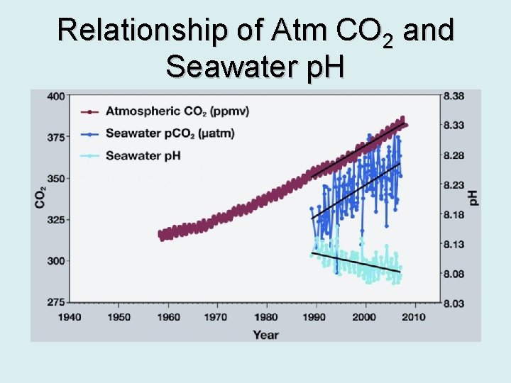 Relationship of Atm CO 2 and Seawater p. H 