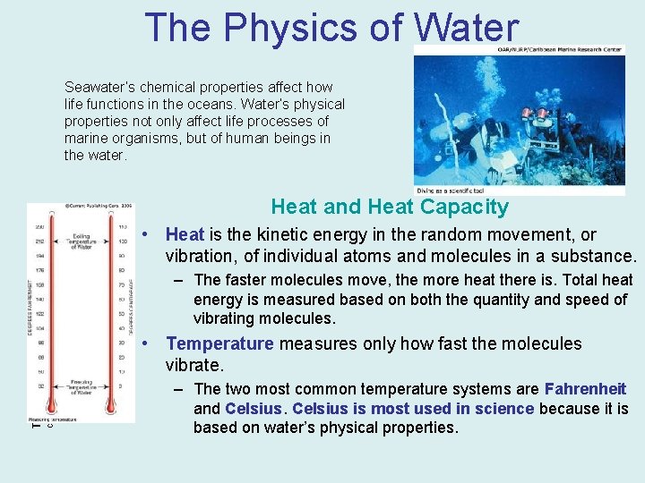 The Physics of Water Seawater’s chemical properties affect how life functions in the oceans.