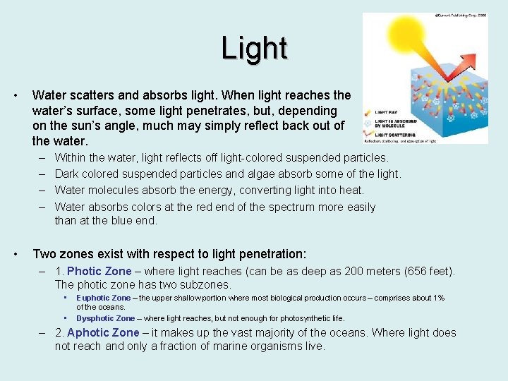 Light • Water scatters and absorbs light. When light reaches the water’s surface, some