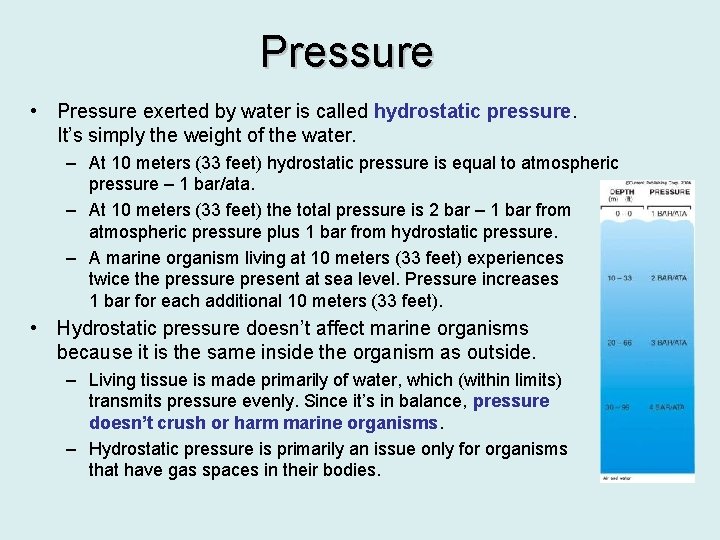 Pressure • Pressure exerted by water is called hydrostatic pressure. It’s simply the weight