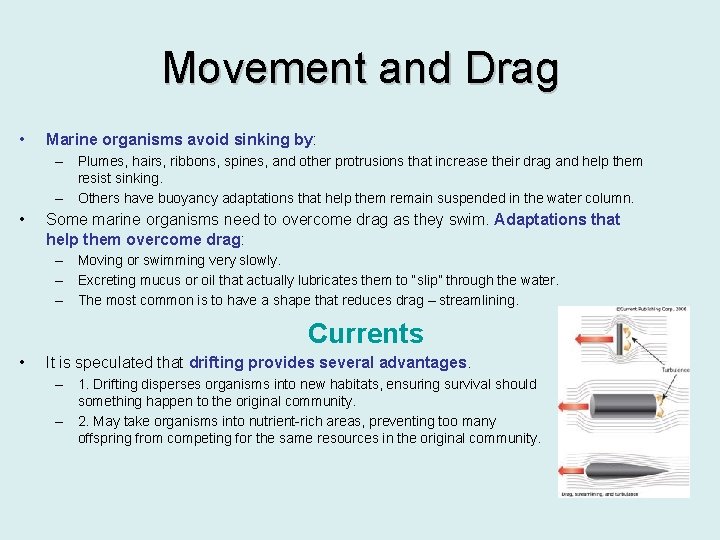 Movement and Drag • Marine organisms avoid sinking by: – Plumes, hairs, ribbons, spines,