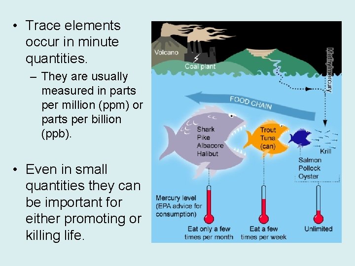  • Trace elements occur in minute quantities. – They are usually measured in