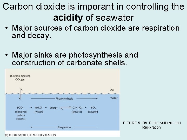 Carbon dioxide is imporant in controlling the acidity of seawater • Major sources of