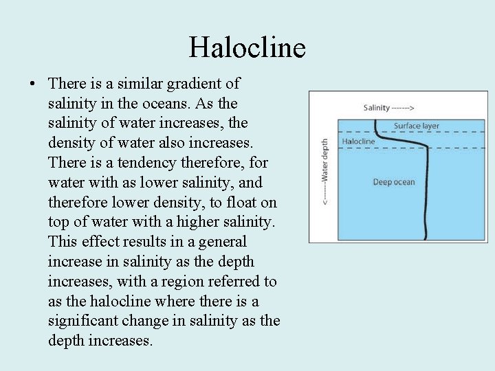 Halocline • There is a similar gradient of salinity in the oceans. As the