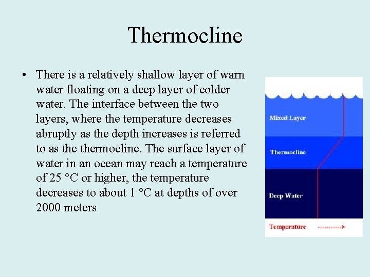 Thermocline • There is a relatively shallow layer of warn water floating on a