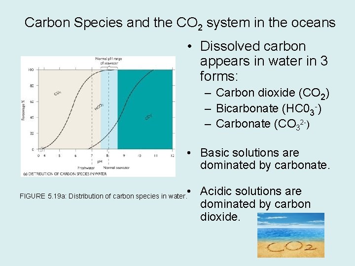 Carbon Species and the CO 2 system in the oceans • Dissolved carbon appears